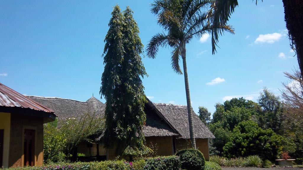 Kilimanjaro Eco Lodge Usa River Exterior photo