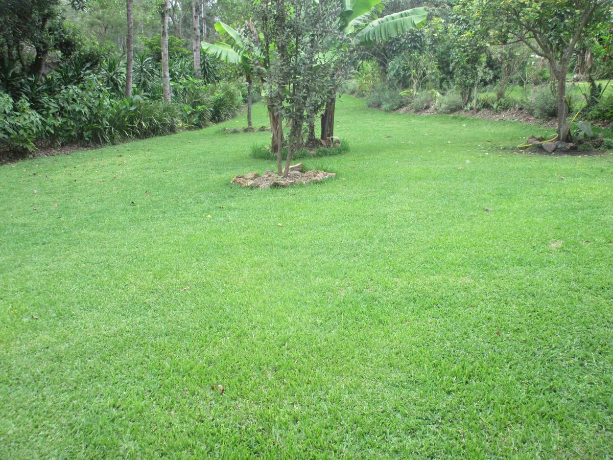 Kilimanjaro Eco Lodge Usa River Exterior photo